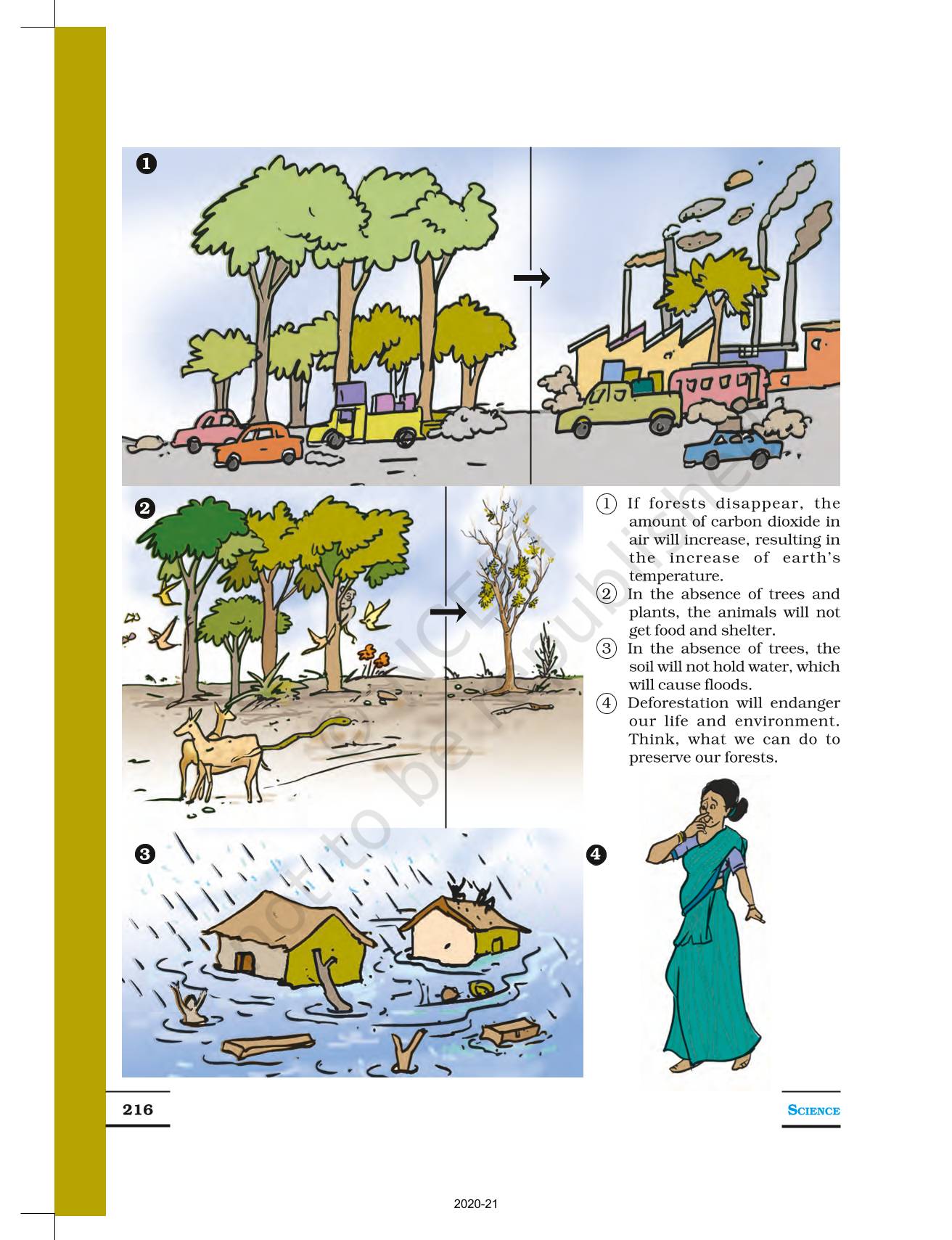 Forests Our Lifeline - NCERT Book Of Class 7 Science